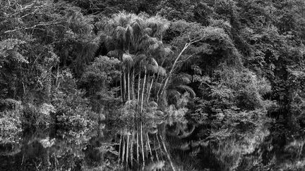 Rio Jaú, État d'Amazonas, Brésil (2019) (SEBASTIÃO SALGADO)