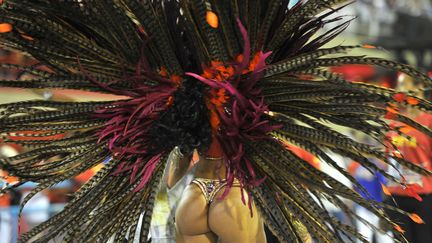 Un danseuse de l'&eacute;cole de samba Renascer lors de la premi&egrave;re nuit de festivit&eacute;s du carnaval de Rio de Janeiro (Br&eacute;sil), le 19 f&eacute;vrier 2012. (CHRISTOPHE SIMON / AFP)