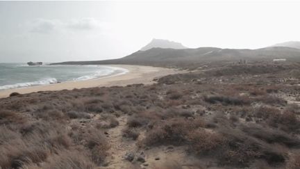 Le cap vert est le troisième site au monde pour la reproduction des tortues.&nbsp; (FRANCE 2)