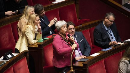 La députée LR Marie-Christine Dalloz, le 16 février 2023 à l'Assemblée nationale. (MAGALI COHEN / HANS LUCAS / AFP)