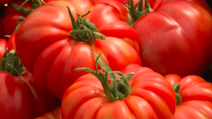 Agriculture : les légumes français de "l’indice ratatouille" menacés par la concurrence étrangère (France 2)