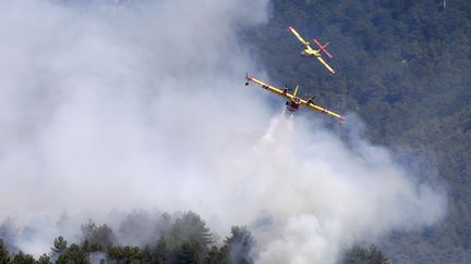 Deux Canadairs à Palneca, en Corse-du-Sud, le 3 août 2017. (PASCAL POCHARD-CASABIANCA / AFP)