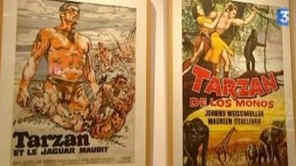 Le mythe de Tarzan décortiqué au Musée du Quai Branly
 (Culturebox)