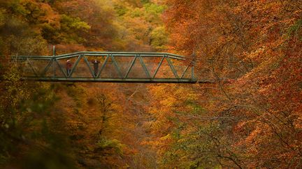 Des promeneurs admirent la vue depuis un pont sur la rivi&egrave;re Garry (Royaume-Uni), le 28 octobre 2013. (RUSSELL CHEYNE / REUTERS)