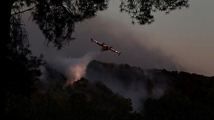 Un Canadair largue de l'eau sur l'incendie d'Istres (Bouches-du-Rhône), le 24 août 2020. (CHRISTOPHE SIMON / AFP)