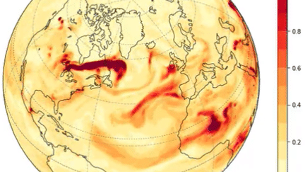 Les fumées des incendies canadiens se dirigent vers l'Europe. (CEPMMT)