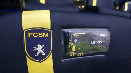 &nbsp; (Le FC Sochaux passe sous pavillon chinois © MaxPPP)