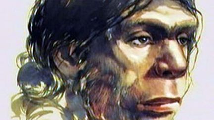Un hominidé, ancêtre de l'humanité (attention il ne s'agit pas de l'hominidé de Denisova). (France 2)