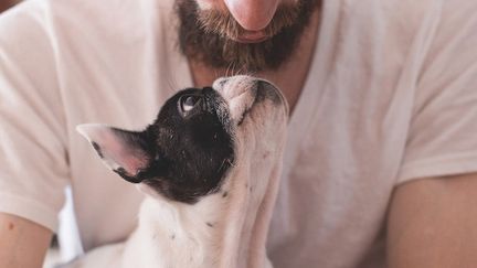 Une barbe abrite plus de bactéries que les chiens (Cr&eacute;dits Photo : &copy; Pixabay / StockSnap)