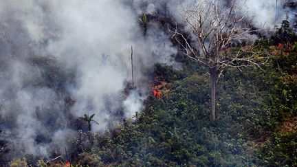 Un feu de forêt dans l'Etat de Rondonia, à environ 65 km de Porto Velho, le 23 août 2019. (CARL DE SOUZA / AFP)