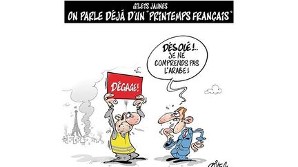 Dessin d'Ali Dilem paru le 11 décembre 2018 dans le quotidien "Liberté".&nbsp; (DR/Liberté)