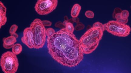 Une illustration du virus du mpox, une maladie semblable à la variole, réalisée le 21 décembre 2021. (TUMEGGY / SCIENCE PHOTO LIBRARY / MTT)