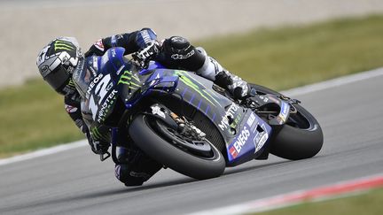 Maverick Viñales, pilote Yamaha (GIGI SOLDANO / DPPI MEDIA)