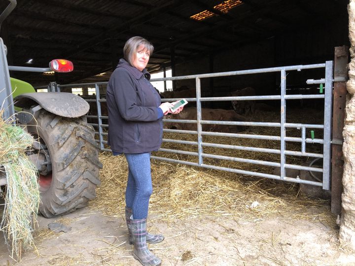 Quand elle va retrouver ses vaches, le portable de Sylviane ne capte jamais. Au mieux, une ou deux barres. "Là, j'arrive à capter, mais mon mari qui est abonné à Orange, ce n'est pas possible&nbsp;!", raconte-t-elle.&nbsp; (ALIENOR VINCOTTE / FRANCEINFO)