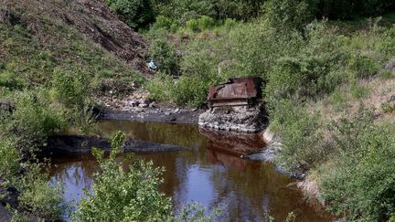 Crassier pollué : le parquet fait appel de la relaxe d'ArcelorMittal Florange (PIERRE HECKLER / MAXPPP)