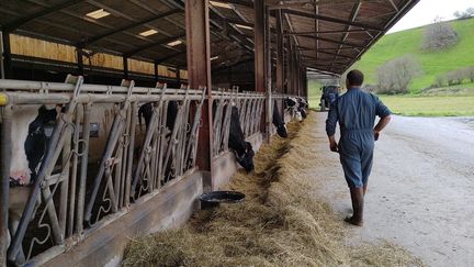 Le soja et le colza coutent beaucoup plus cher depuis l'invasion de l'Ukraine par la Russie, alors qu'ils sont essentiels pour nourrir le bétail. (Simon Cardona / RADIO FRANCE)