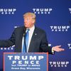 Le candidat républicain Donald Trump lors d'un meeting, le 17 octobre 2016, à Green Bay, dans le Wisconsin.&nbsp; (TASOS KATOPODIS / AFP)