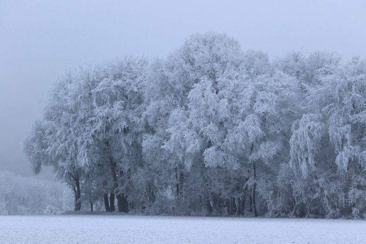 Une vague de froid extrêmement vigoureuse touche tout le continent européen.  (MAXPPP)