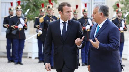 Emmanuel Macron reçoit Viktor Orban à l'Elysée, à Paris, le 11 octobre 2019. (LUDOVIC MARIN / AFP)