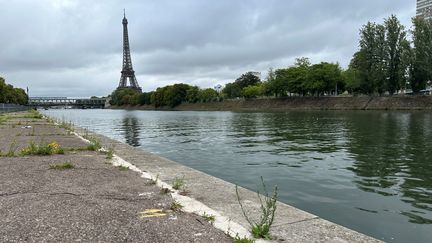 La Seine à Paris. (JEAN-CHRISTOPHE BOURDILLAT / RADIO FRANCE)