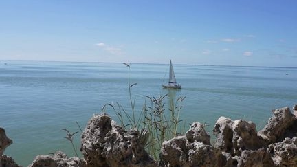 Tourisme : à la découverte de l’estuaire de la Gironde