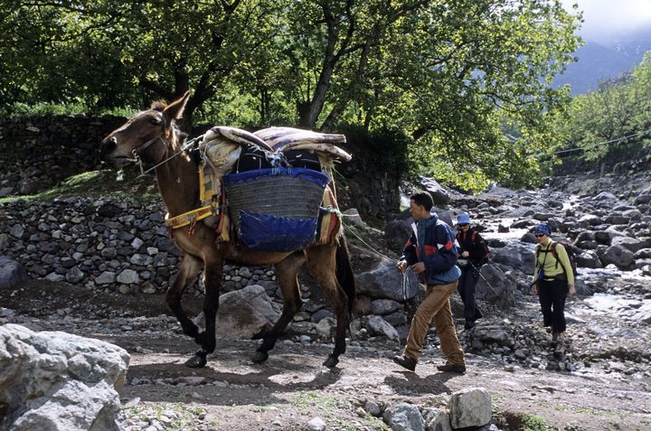 &nbsp; (FRILET PATRICK / HEMIS.FR)