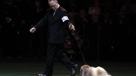 Il devient &laquo;le chien de l&rsquo;Am&eacute;rique&raquo; pour l&rsquo;ann&eacute;e 2012. (MIKE SEGAR / REUTERS)