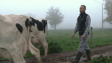 Vacances : quand les agriculteurs font appel à des remplaçants