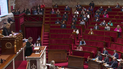 IVG dans la Constitution : le projet de loi débattu à l'Assemblée nationale