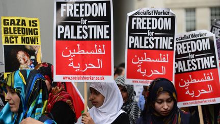 Manifestation pro-palestinienne &agrave; Londres, vendredi 25 juillet 2014.&nbsp; (CARL COURT / AFP)