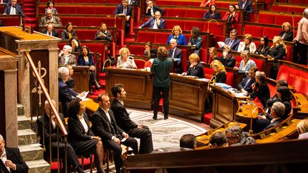 Réforme des retraites : ambiance électrique à l'Assemblée nationale