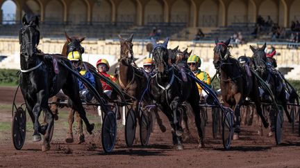 Une course hippique à Salon-de-Provence, dans les Bouches-du-Rhône, le 19 octobre 2024. (JEAN MARC FERRE / MAXPPP)