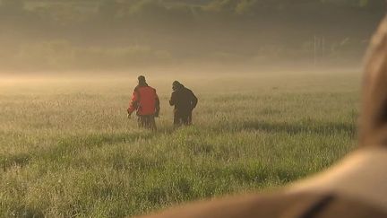 Allemagne : quand les agriculteurs sauvent les faons des moissonneuses