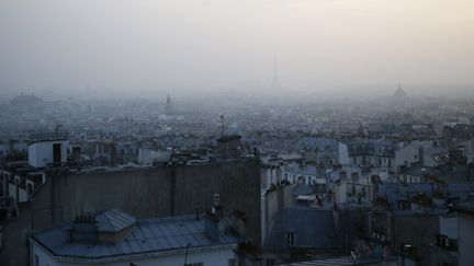 Vue de Paris le 11 mars 2014, en plein pic de pollution.&nbsp; (PATRICK KOVARIK / AFP)