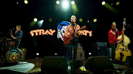 Stray Cats en concert à Berlin - 3 Juillet 2019 (DIRK PAGELS/SULUPRESS.DE / SULUPRESS.DE)