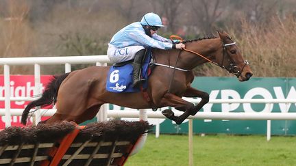 La jockey Rachel Blackmore et la jument&nbsp;Honeysuckle&nbsp;ci-contre lors du Racing Festival de Dublin, le 6 février 2021. (NIALL CARSON / MAXPPP)