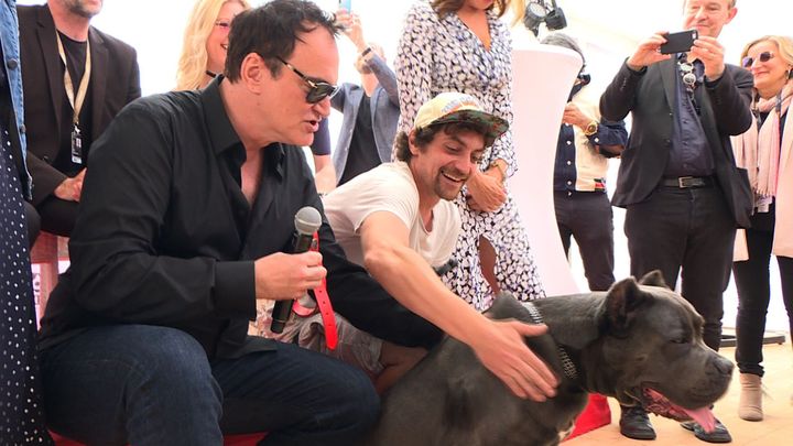 Quentin Tarantino reçoit la Palm Dog, accompagné du pitbull Brandy, à Cannes le 24 mai 2019. (NATALIE HANDEL / AFP)