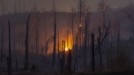 L'incendie Oak Fire, près du&nbsp;parc naturel du Yosemite, a détruit&nbsp;7&nbsp;000 hectares de forêt. (DAVID MCNEW / AFP)