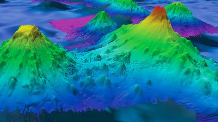 Image radar haute résolution d'un fonds marin montrant le volcan sous-marin Pao Pao, d'une hauteur de 4776 mètres (à droite), dans l'océan Pacifique Sud. (Illustration) (NOAA OFFICE OF OCEAN EXPLORATION AND RESEARCH)