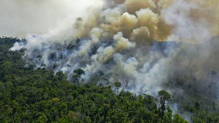 Un incendie dans la forêt amazonienne près de Novo Grosso, au Brésil, le 16 août 2020. (CARL DE SOUZA / AFP)