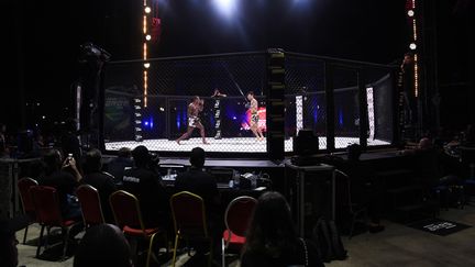 Deux champions d'Arts martiaux mixtes (MMA) s'affrontent à Dakar, le 14 décembre 2019. (SEYLLOU / AFP)