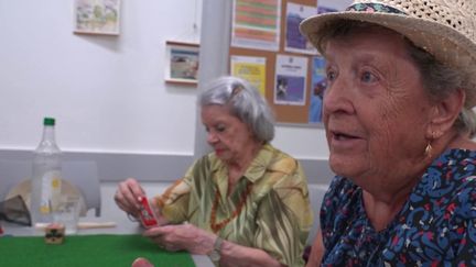 Canicule : les Français à l'épreuve de la chaleur (France 3)