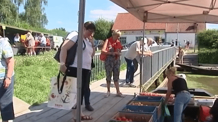 Pas-de-Calais : le succès du marché flottant de Clairmarais