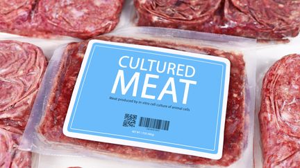 La commercialisation de la viande de synthèse n'est autorisé qu'à Singapour et qu'au États-Unis. (imagebroker/imageBROKER/Firn/Newscom/MaxPPP)