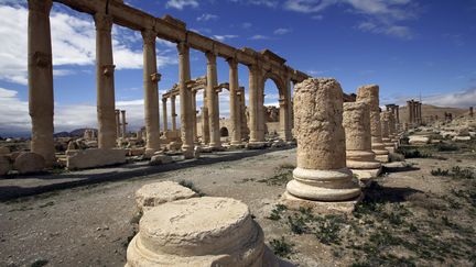 A picture taken on March 14, 2014 shows a partial view of the ancient oasis city of Palmyra, 215 kilometres northeast of Damascus. Syrian regime troops pushed Islamic State group jihadists back from the ancient desert city of Palmyra after clashes that left dozens dead in the city's north. AFP PHOTO/JOSEPH (JOSEPH EID / AFP)