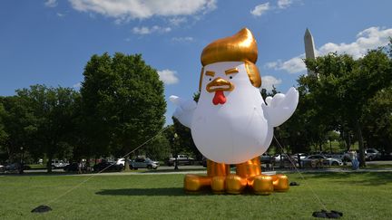 Poulet géant de Trump