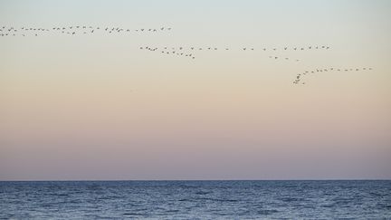 Un coucher de soleil sur l'Océan Atlantique, le 1er février 2023, depuis Rehoboth Beach, dans le Delaware, aux Etats-Unis. (CELAL GUNES / ANADOLU AGENCY / AFP)