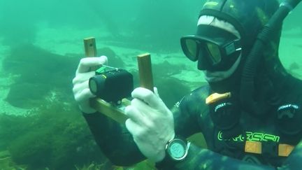 L'un des participants aux premières rencontres de la photographie sous-marine en apnée, "Photos en Wrac'h", dans le Finistère. (France Télévisions / S. Soviller)