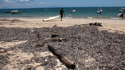 La plage d'Ambatoloaka, sur l'&icirc;le de Nosy Be, o&ugrave; les corps d'un Fran&ccedil;ais, d'un Franco-Italien et d'un Malgache ont &eacute;t&eacute; br&ucirc;l&eacute;s apr&egrave;s qu'ils ont &eacute;t&eacute; lynch&eacute;s par la foule, le 3 octobre 2013. (RIJASOLO / AFP)