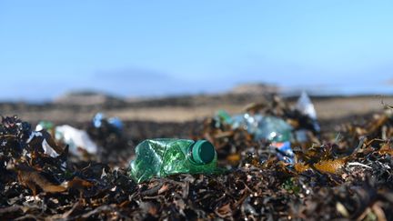 Bouteilles en plastique à Carantec, en Bretagne. (NICOLAS CREACH / MAXPPP)